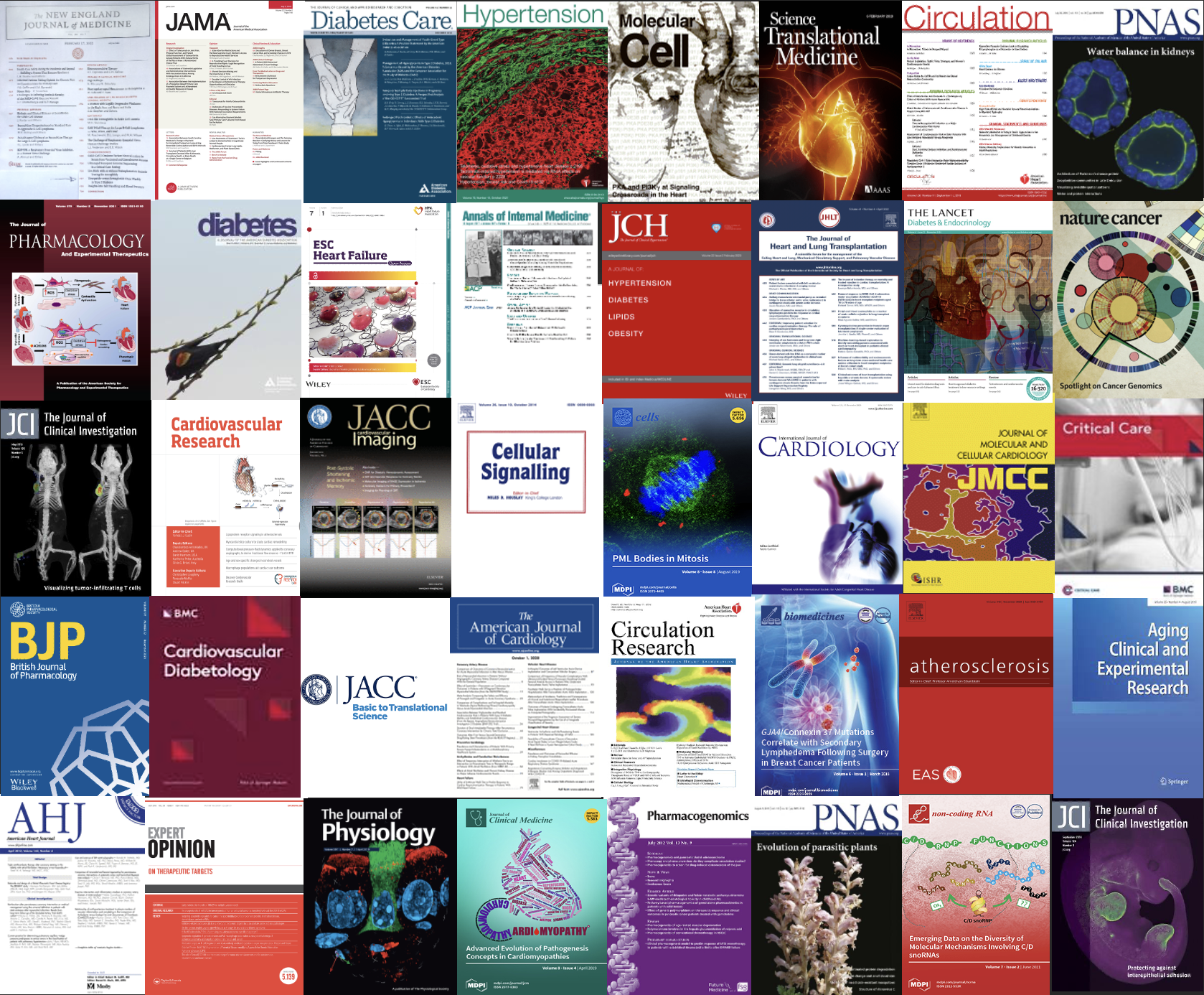 Covers of Journals where the Santulli Lab published